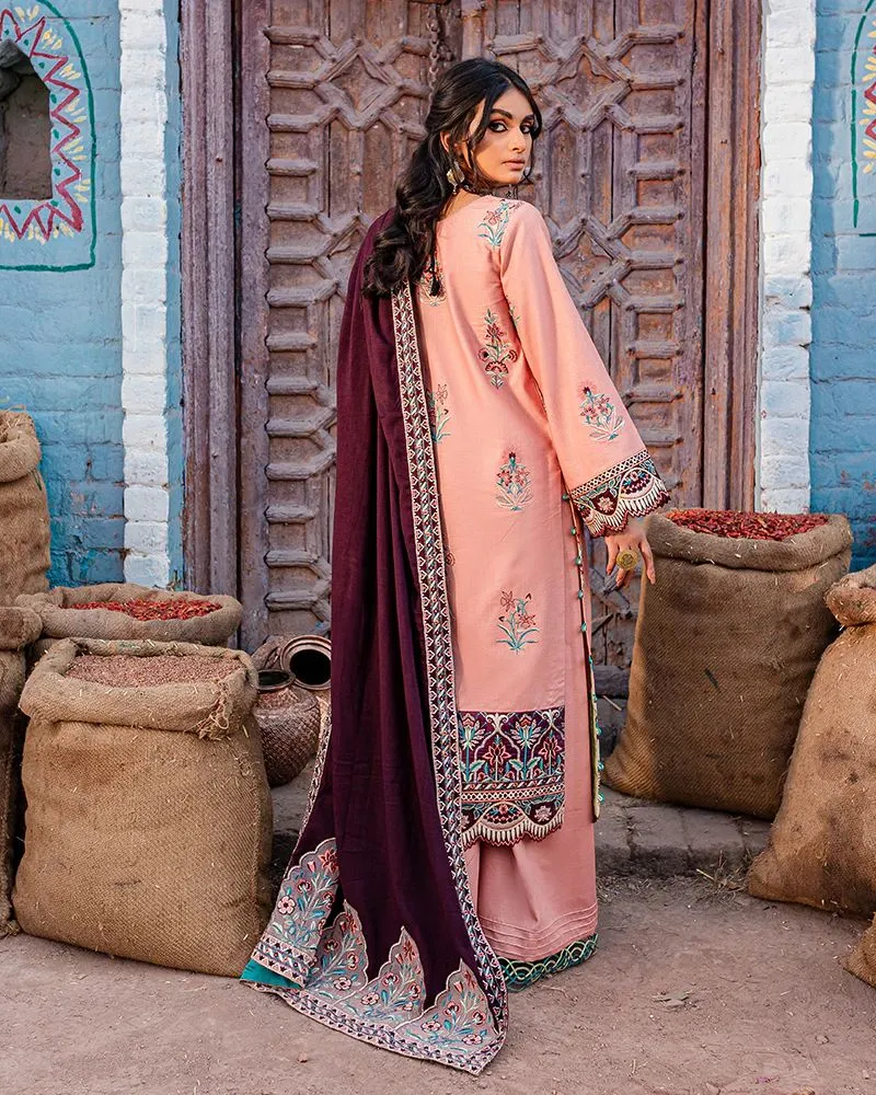 3PC READY TO WEAR KHADDAR PASHMINA SHAWL DRESS 05